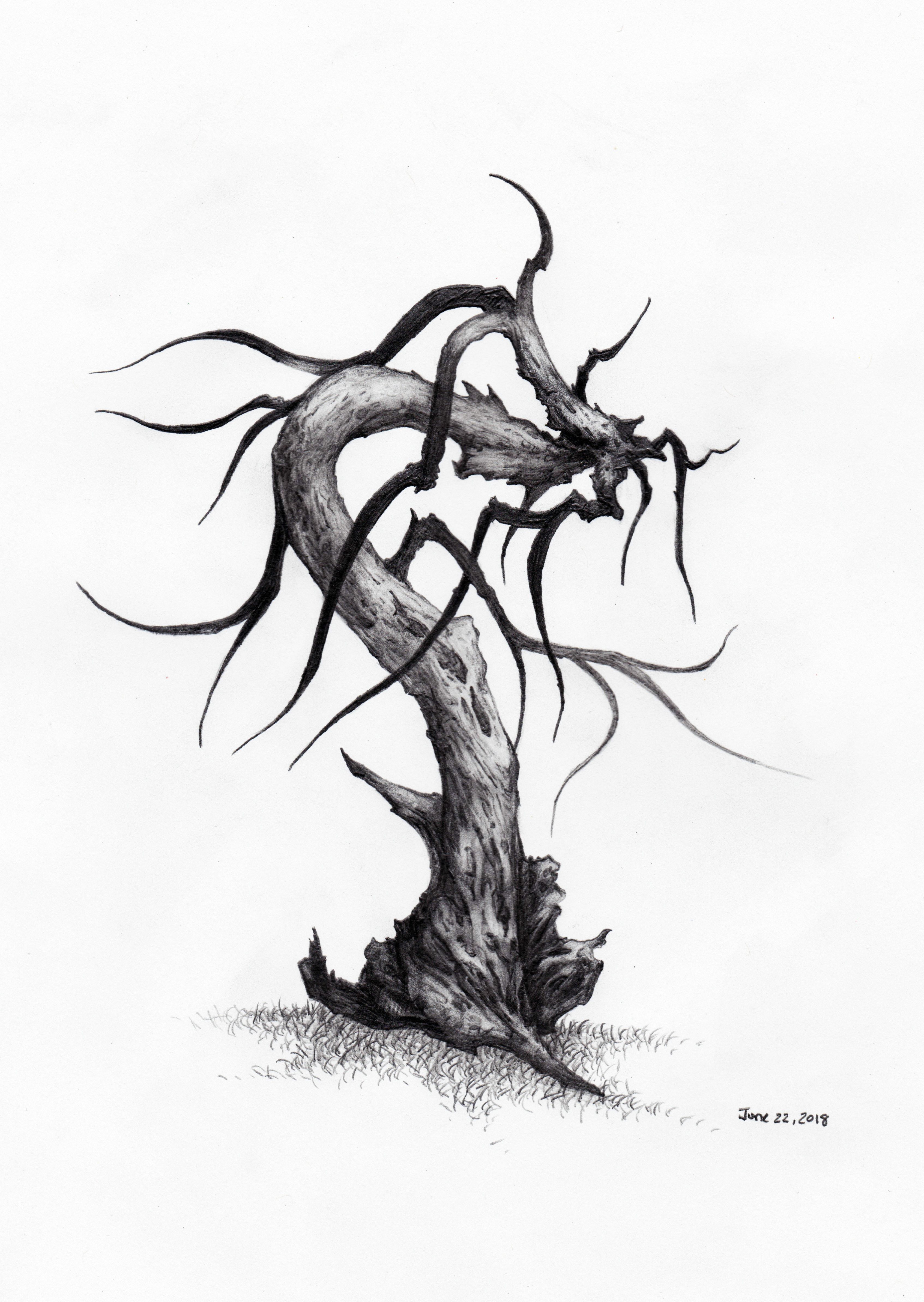 3387x4771 Daily Tree Sketch