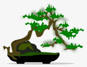 300x231 graphic freeuse stock bonsai drawing simple