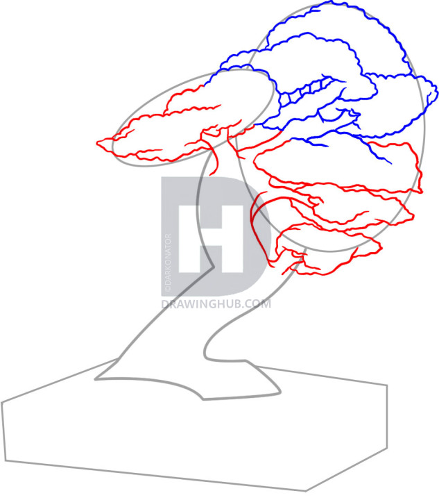 633x720 how to draw a bonsai tree, step
