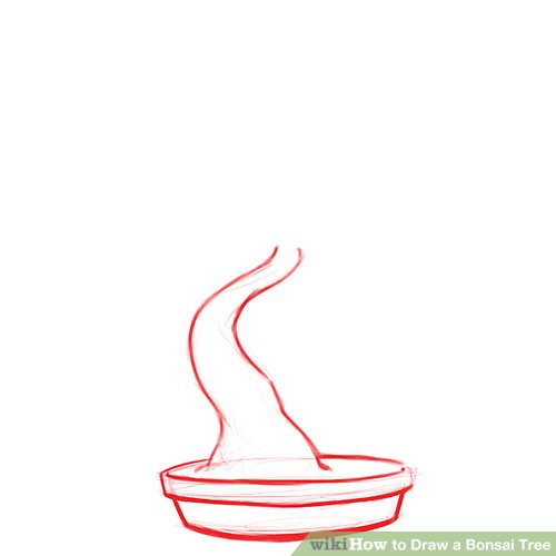 500x500 how to draw a bonsai tree steps