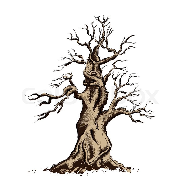 776x800 Tree Silhouette Vector Illustration Stock Vector Colourbox