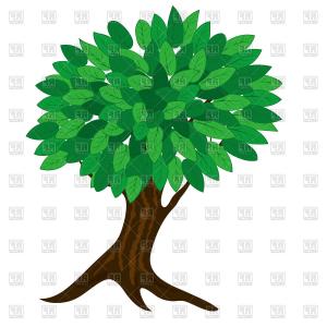 300x300 best bonsai tree vector drawing soidergi