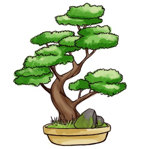 500x500 draw a bonsai tree minis bons tree drawing simple, bonsai art