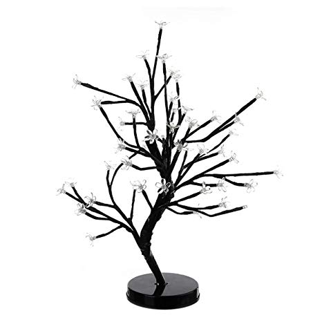 466x466 height cherry blossom tree cherry blossom desk top