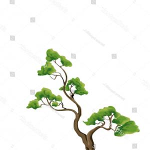 300x300 best bonsai tree vector drawing geekchicpro