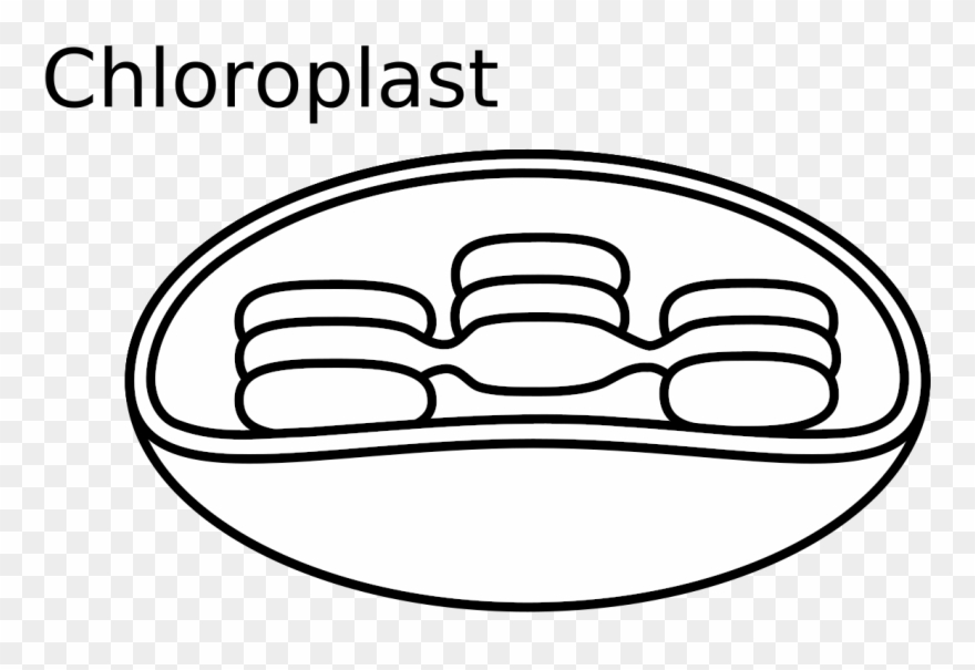 880x605 Similar Clip Art