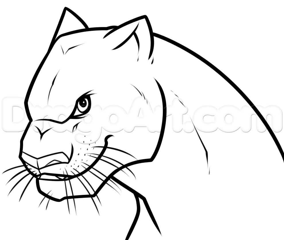 989x835 Drawing Bagheera From The Jungle Book, Step