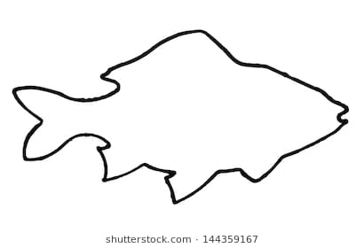 410x280 Fish Outline Image Drawing Of Stock Photos Royalty Free Coloring