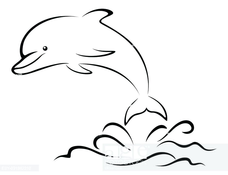 913x700 Outline Of A Dolphin Dolphin Outline Line Drawing