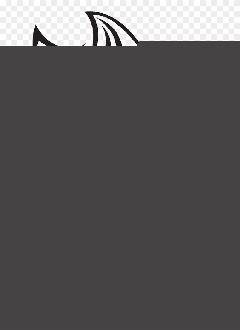 840x1155 Panther Drawings