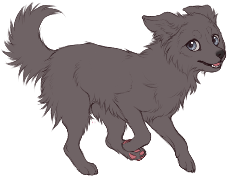 735x569 Border Collie Lines