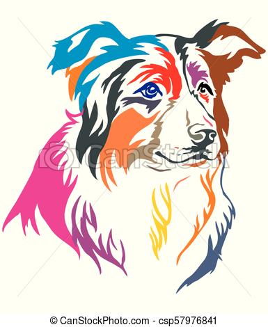 385x470 Colorful Decorative Portrait Of Border Collie Vector Illustration