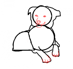 302x283 drawing printout border collie