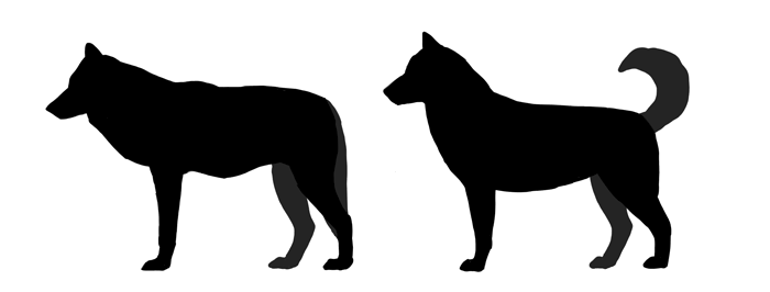 700x266 How To Draw A Dog Details Make The Difference