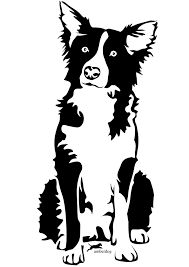 189x267 Best Border Collie Images Animal Drawings, Draw, Border Collies
