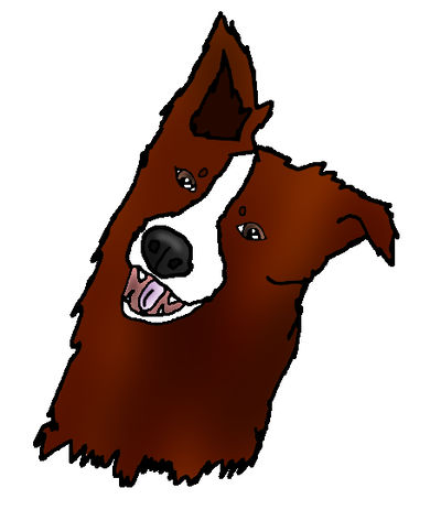 400x463 Tilting Head Border Collie