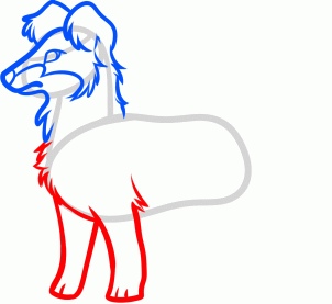 302x277 How To Draw A Border Collie Step Drawing Drawings, Border