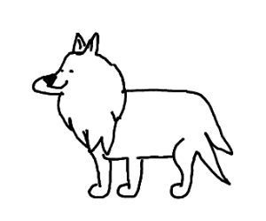 300x250 A Border Collie