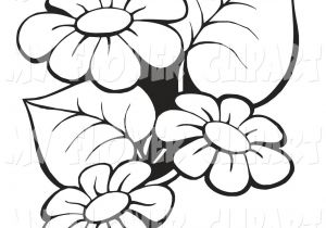 300x210 drawing flowers border flower border packaging and display