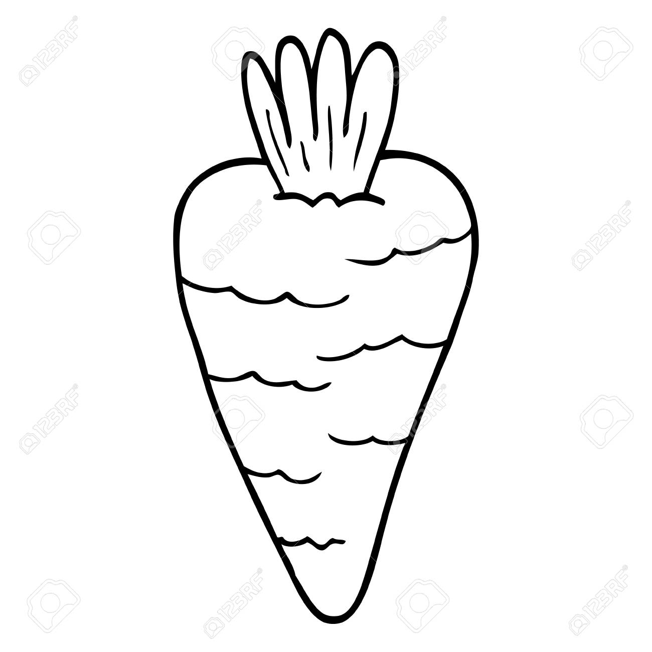 1300x1300 Huge Collection Of 'carrot Drawing' Download More Than Images