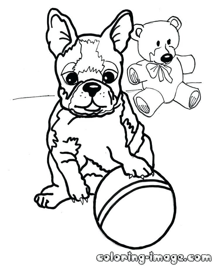 728x910 Boston Terrier Coloring