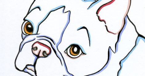 471x250 boston terrier line drawing a step simple cute iydunetwork