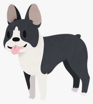 300x337 boston terrier png, transparent boston terrier png image free
