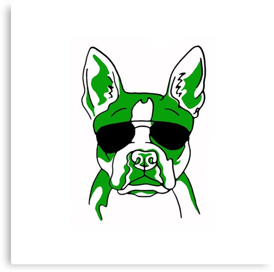 550x545 Boston Terrier With Sunglasses Canvas Print