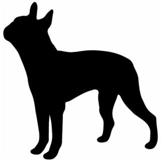 320x320 Hd Boston Terrier Clipart Chibi