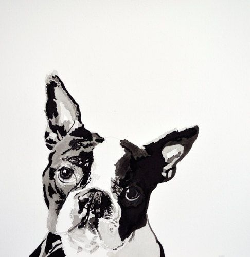 486x500 Ink And Brush Drawing On Watercolor Paper Boston Terrier X