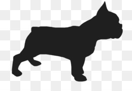 260x180 Puppy Boston Terrier Bulldog Beagle Dog Breed