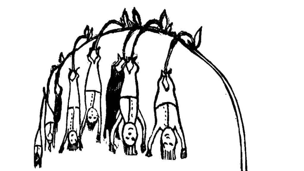 1024x576 The Nonsense Botany Of Edward Lear