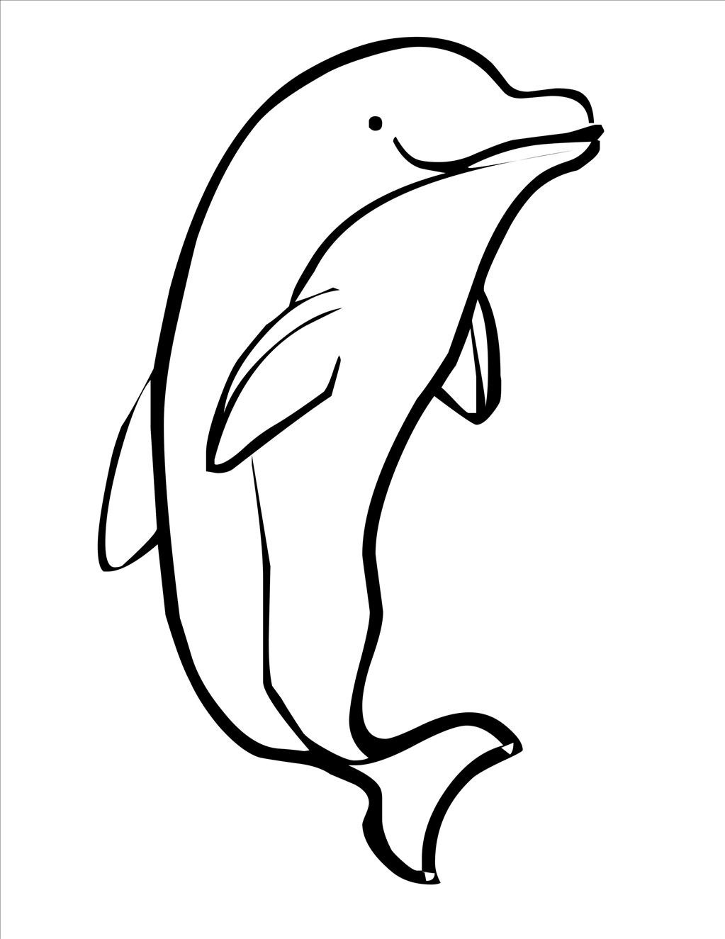 Bottlenose Dolphin Drawing