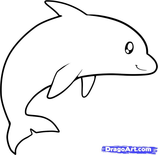 661x649 Bottlenose Dolphin Drawing