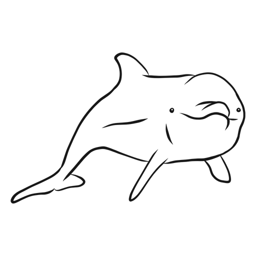 512x512 Bottlenose Dolphin Sketch Vector