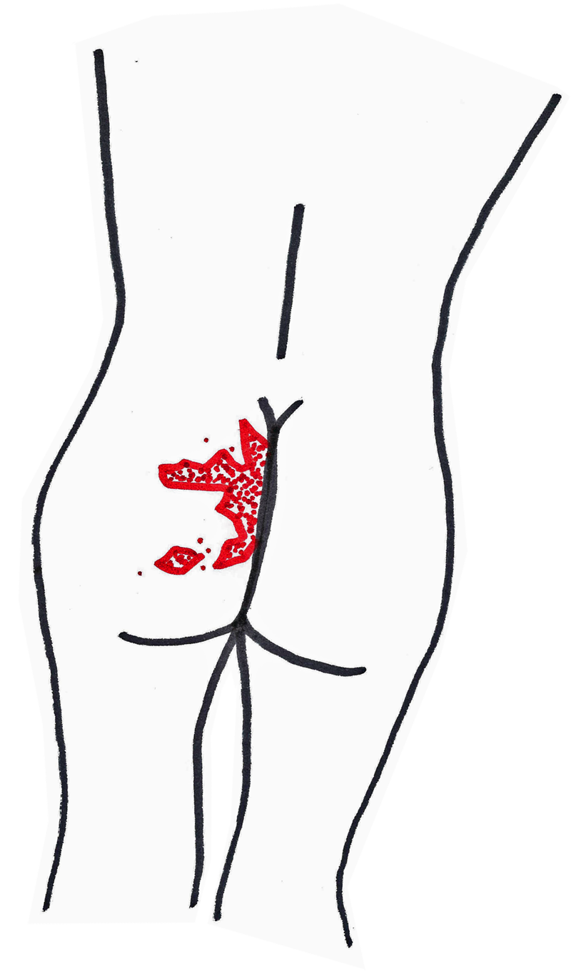 800x1367 Collection Of Free Butt Drawing Bottom Download On Ui Ex