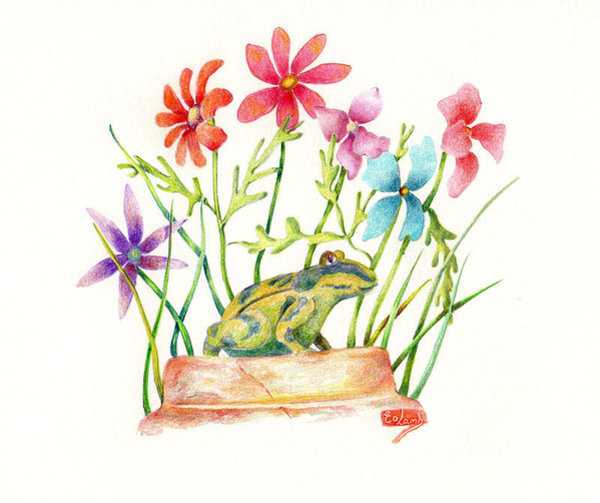 600x503 Colourful Flowers Drawings Fine Art America