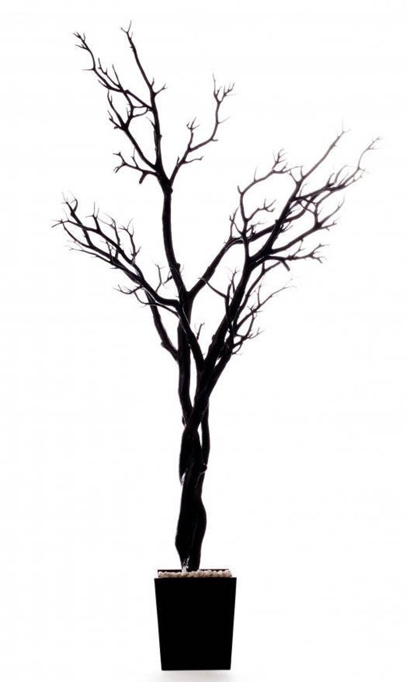 794x1329 Ft Black Tree Manzanita Crystal Tree Potted Wedding Wishing Etsy