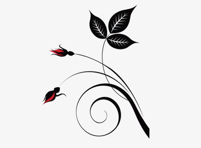 650x477 line style flower bougainvillea vine silhouette pattern, line