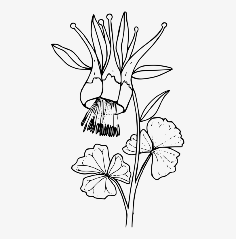 820x829 Watercolor Painting Floral Design Drawing Art