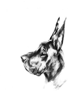 236x314 best erik m gist images figure drawing, drawings, figure