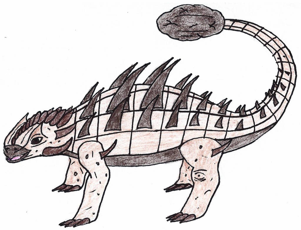 1023x781 Boulder Club Tailed Tortoise Monster