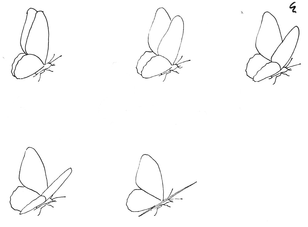 1000x737 kara fellows illustration design