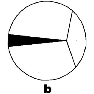 320x320 Schematic Drawing Of Three Stages Of Grain Boundary Separation