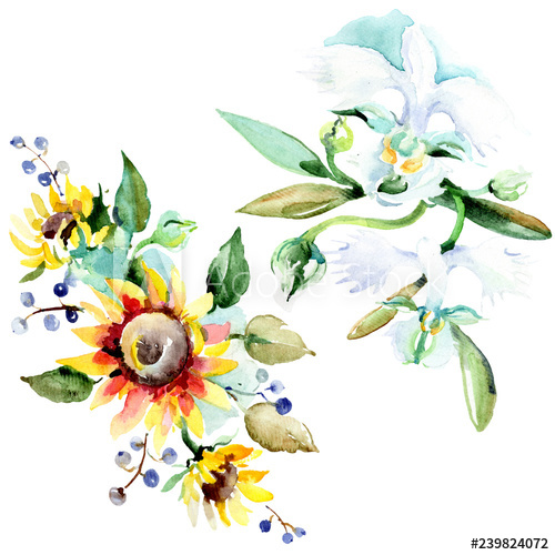 500x500 Bouquet Watercolor Background Illustration Set Watercolour