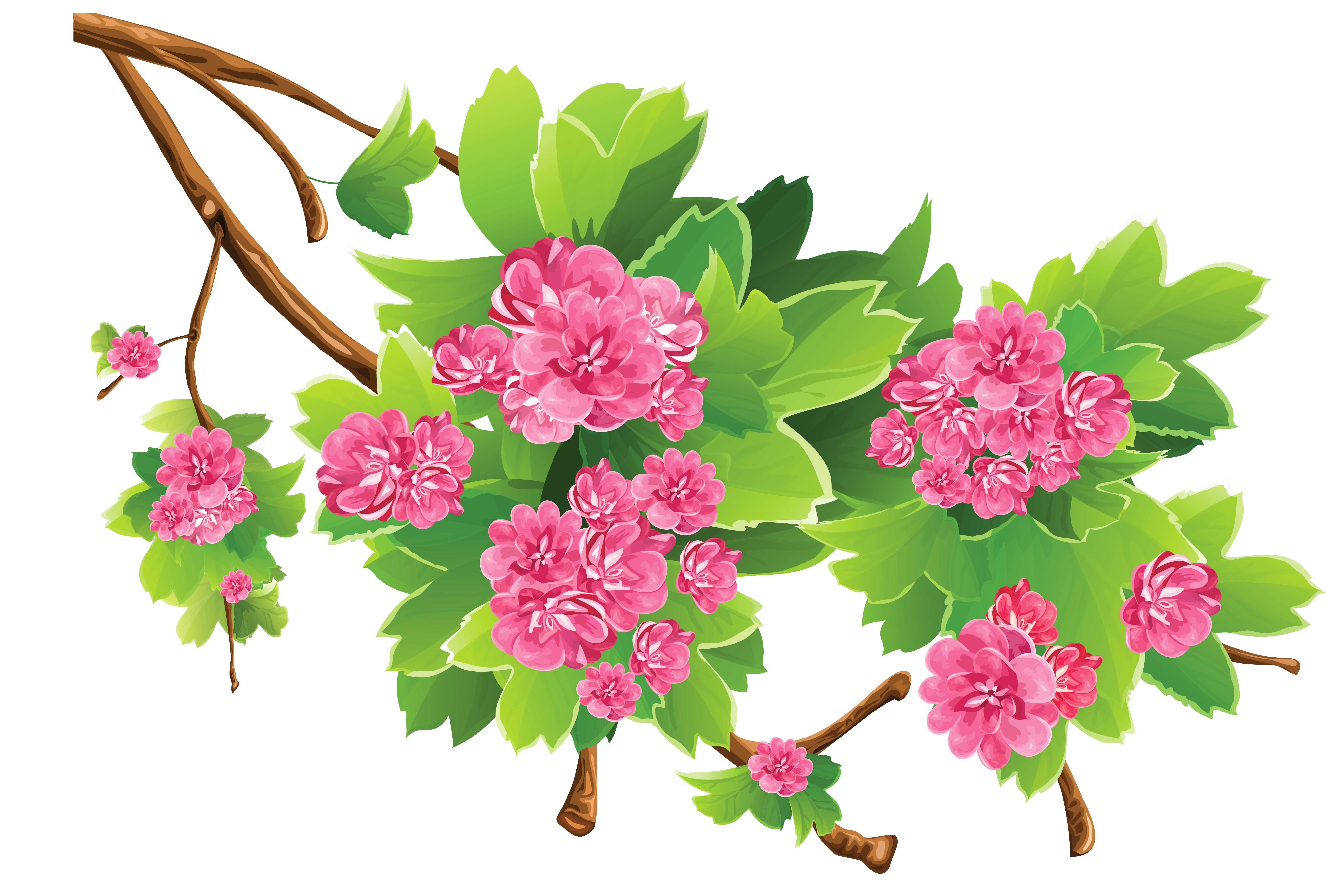 5419x3618 Flower Bouquet Drawing Transparent Png Clipart Free Download