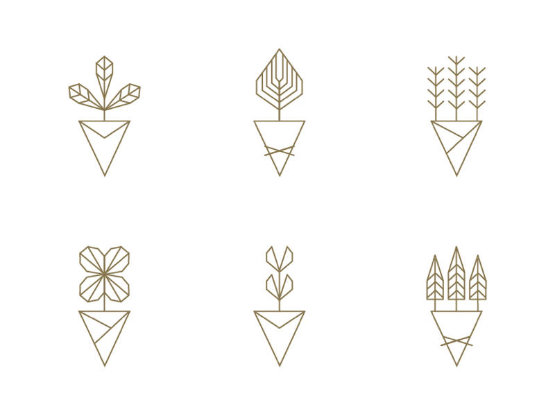 800x600 Flower Bouquet Icons