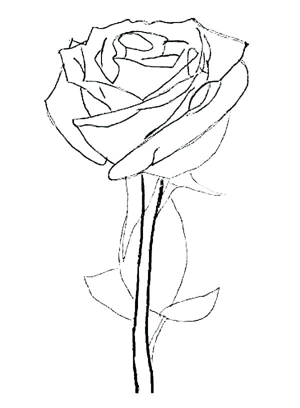 600x815 Coloring Roses Rose Bouquet Coloring Pages Roses To Color Heart