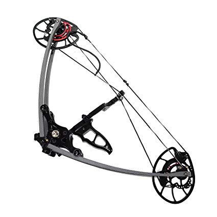 425x425 Mandarin Duck Falcon