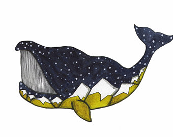 340x270 bowhead whale etsy